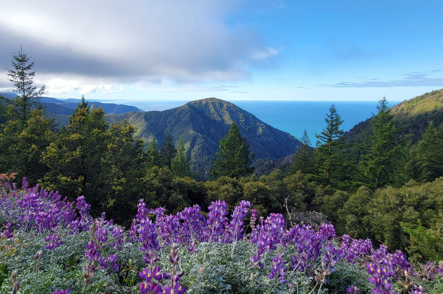 California’s must-do mountains, according to Chronicle readers