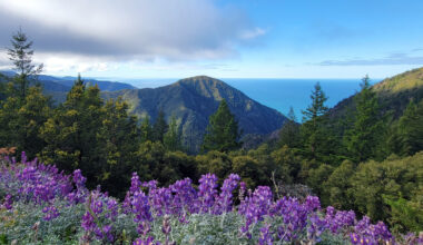 California’s must-do mountains, according to Chronicle readers