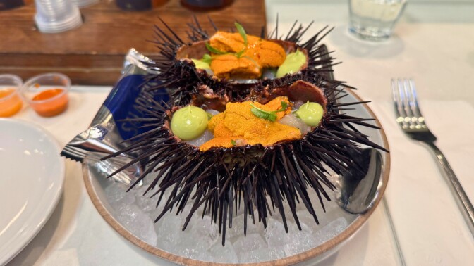 Sea urchin displayed in a bowl with ice underneath.