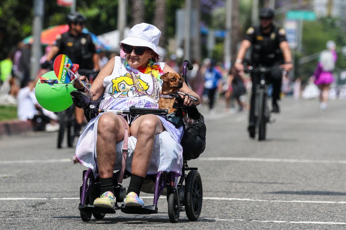 A person in a wheelchair rolls along with a little dog in her lap.