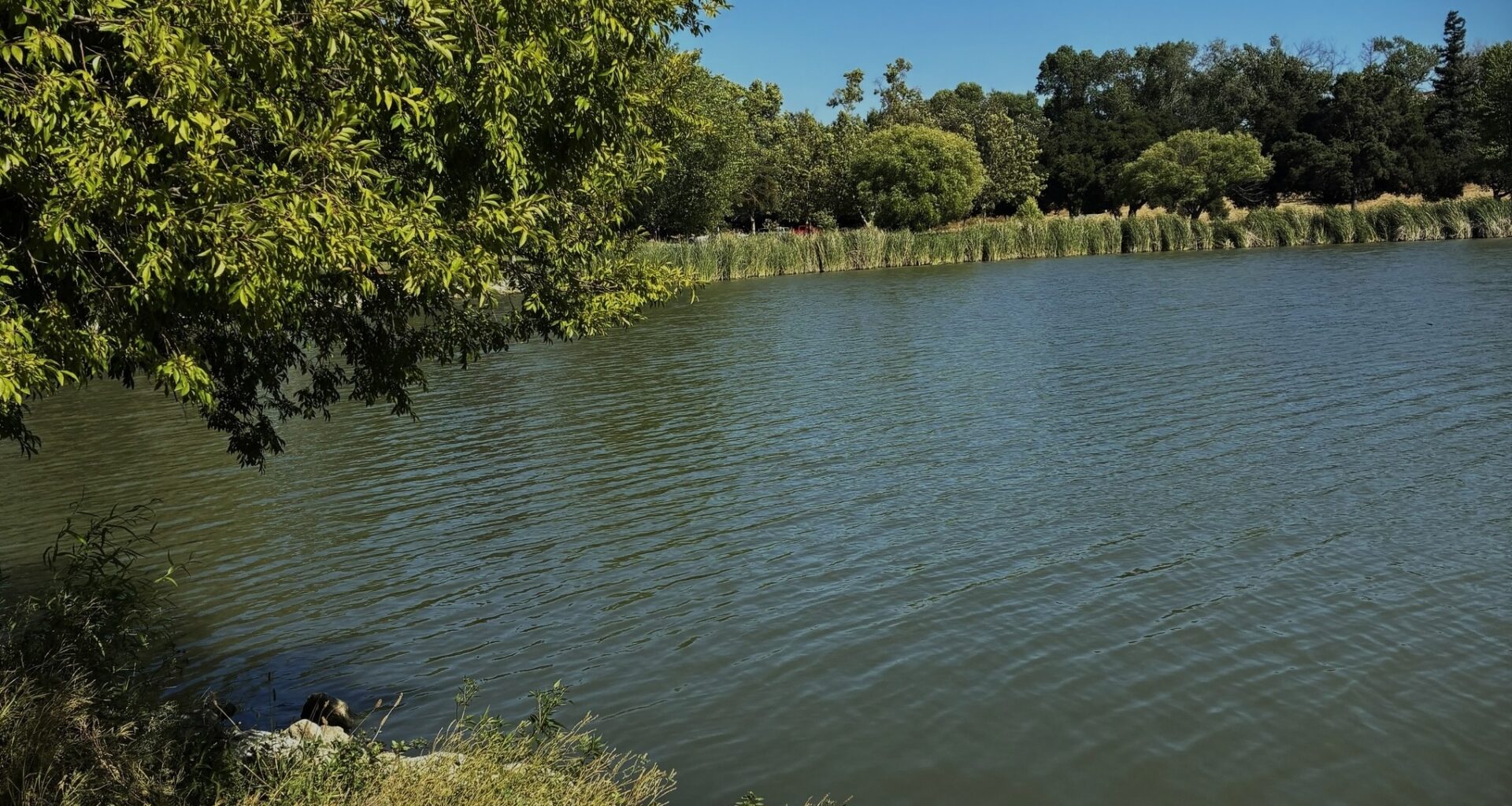 Body recovered from lake at San Jose’s Hellyer County Park
