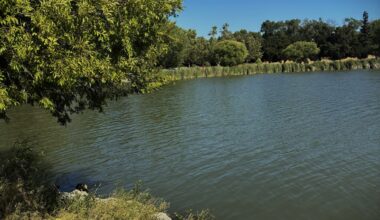 Body recovered from lake at San Jose’s Hellyer County Park