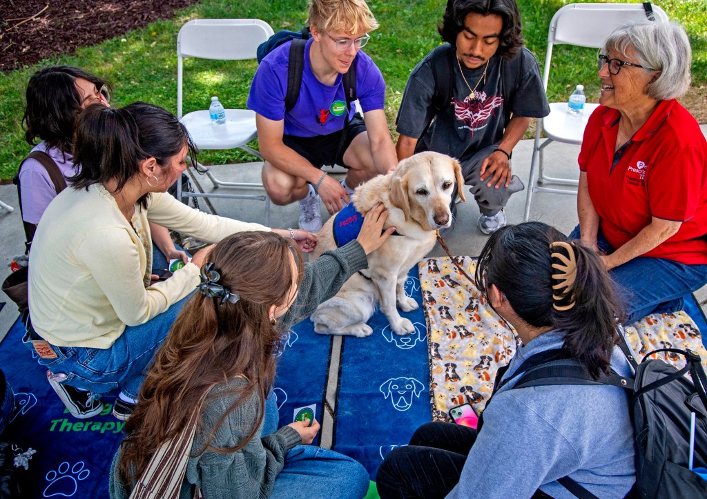CSUF’s mental heallth fair lets students explore helpful resources – Orange County Register
