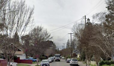 Bay Area windstorm leaves one dead, one seriously injured