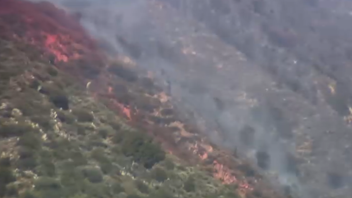 Burro Fire in Angeles National Forest prompts evacuation warning – NBC Los Angeles