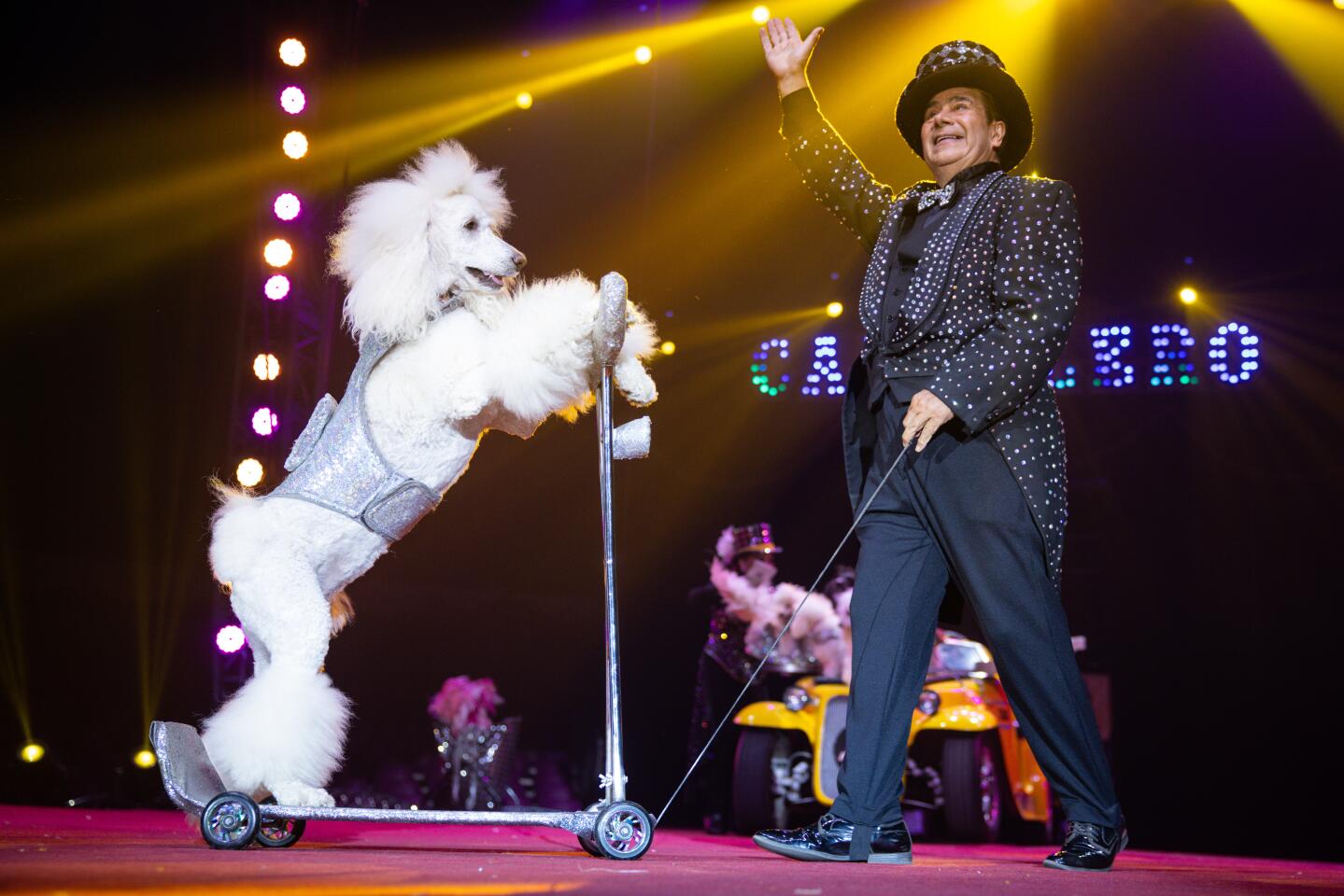 The Cartoon Poodles perform at the Caballero Circus on Wednesday, May 13, 2026, in Santa Ana.