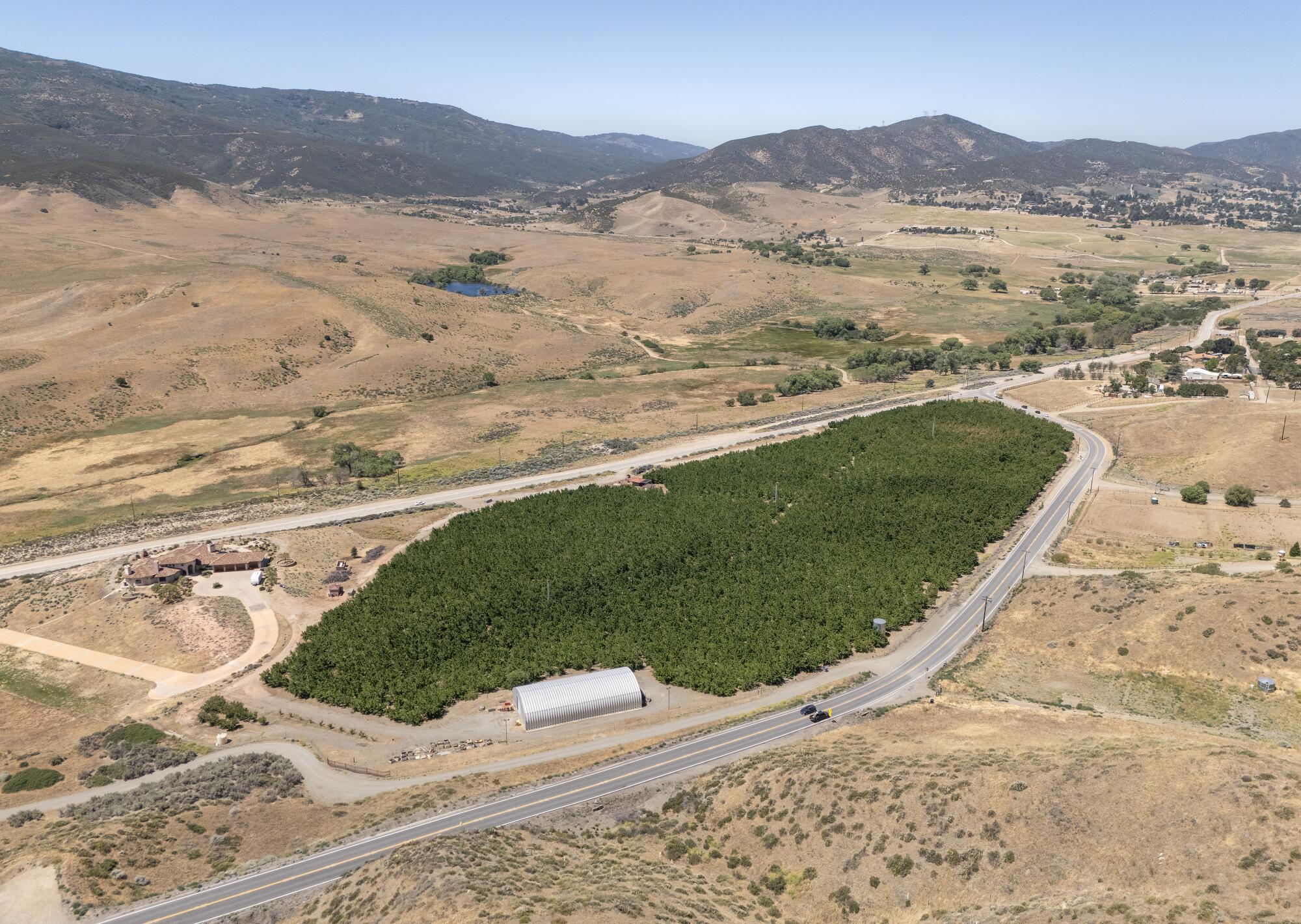 A bird's-eye view of a large swath of green in a brown landscape 
