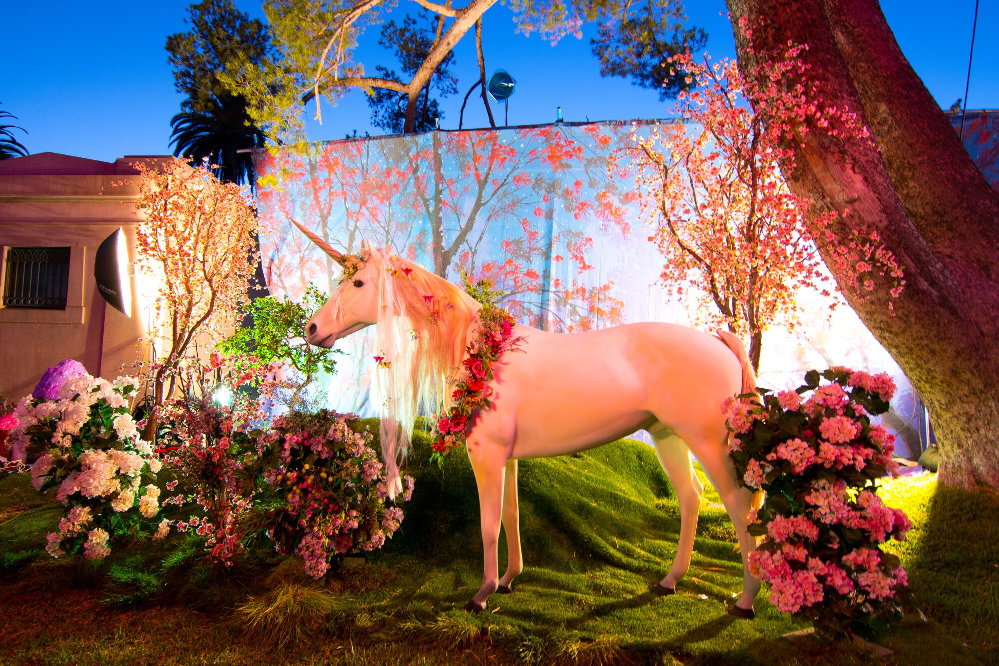 Image May 2026 Cinespia