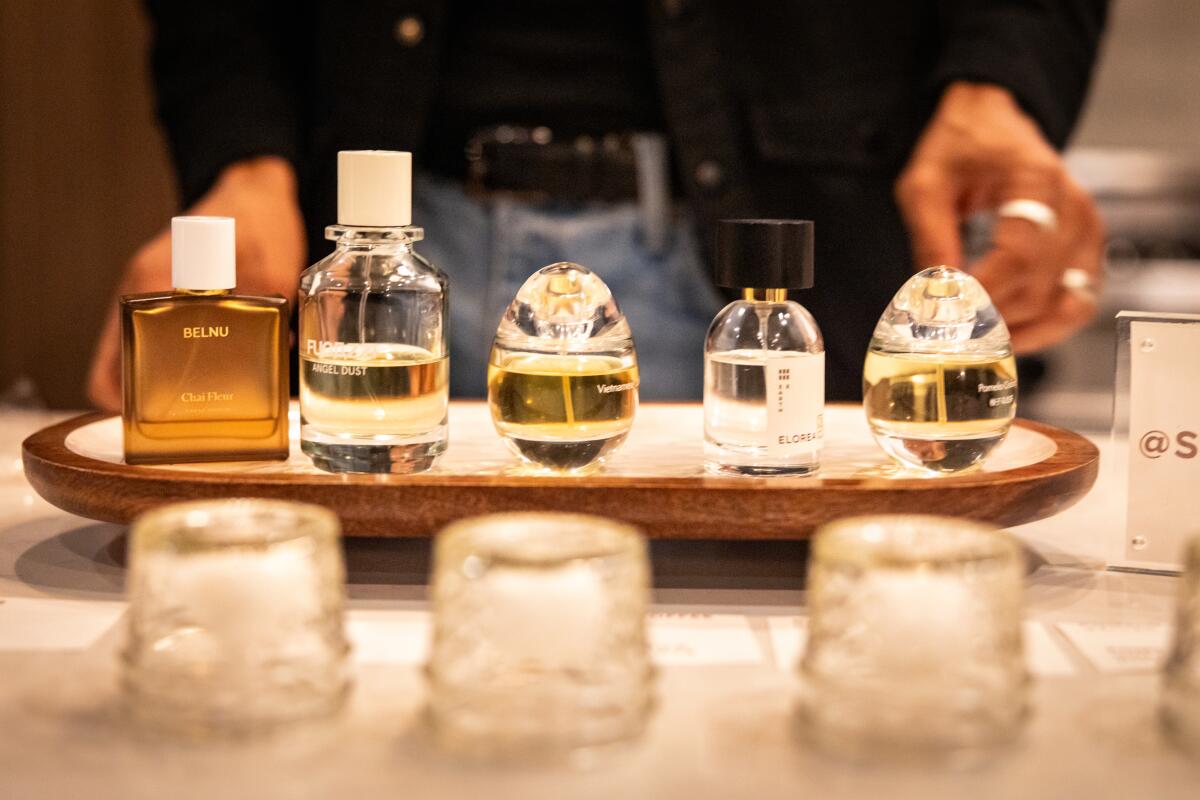 Chase Chapman sets up scents from his personal collection.
