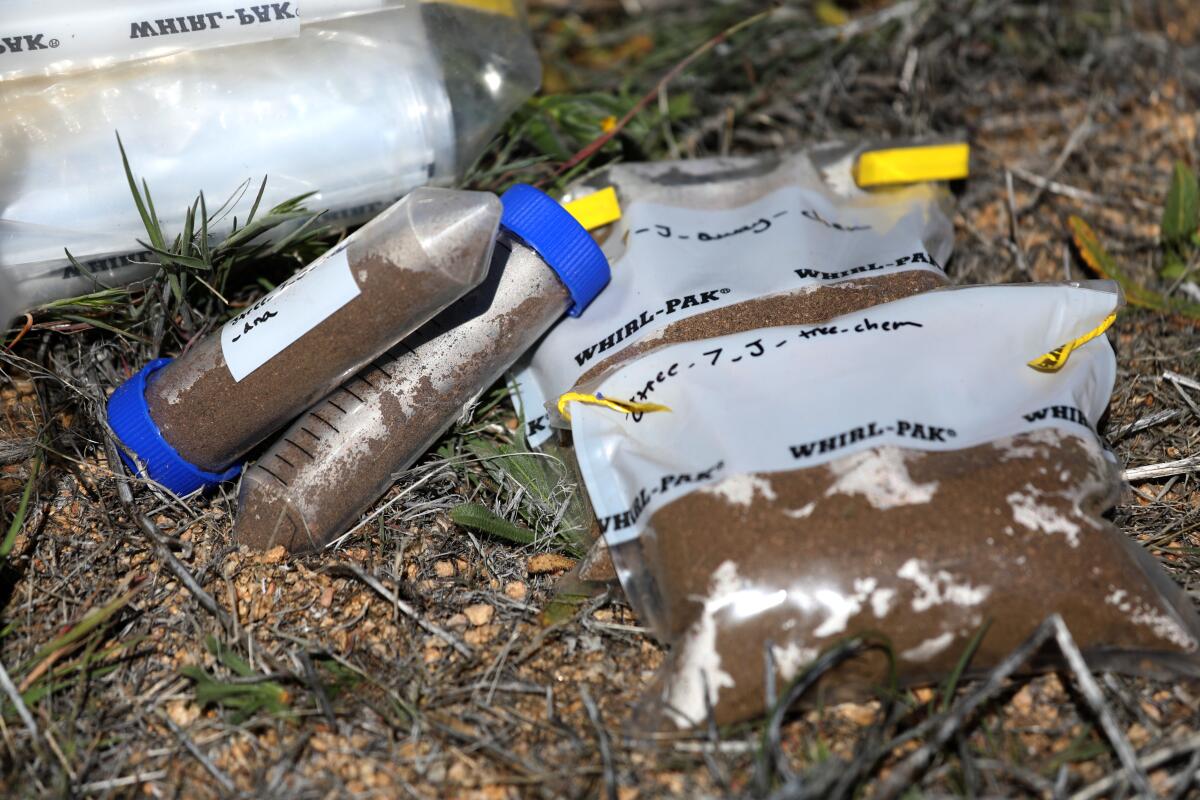 Soil samples collected by scientists with the Society for the Protection of Underground Networks in Upper Covington Flat