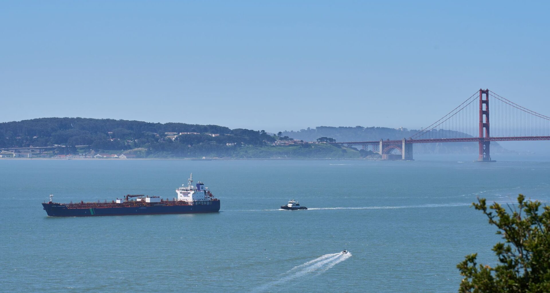A new whale detection network launches in San Francisco Bay, alerting ships in real time