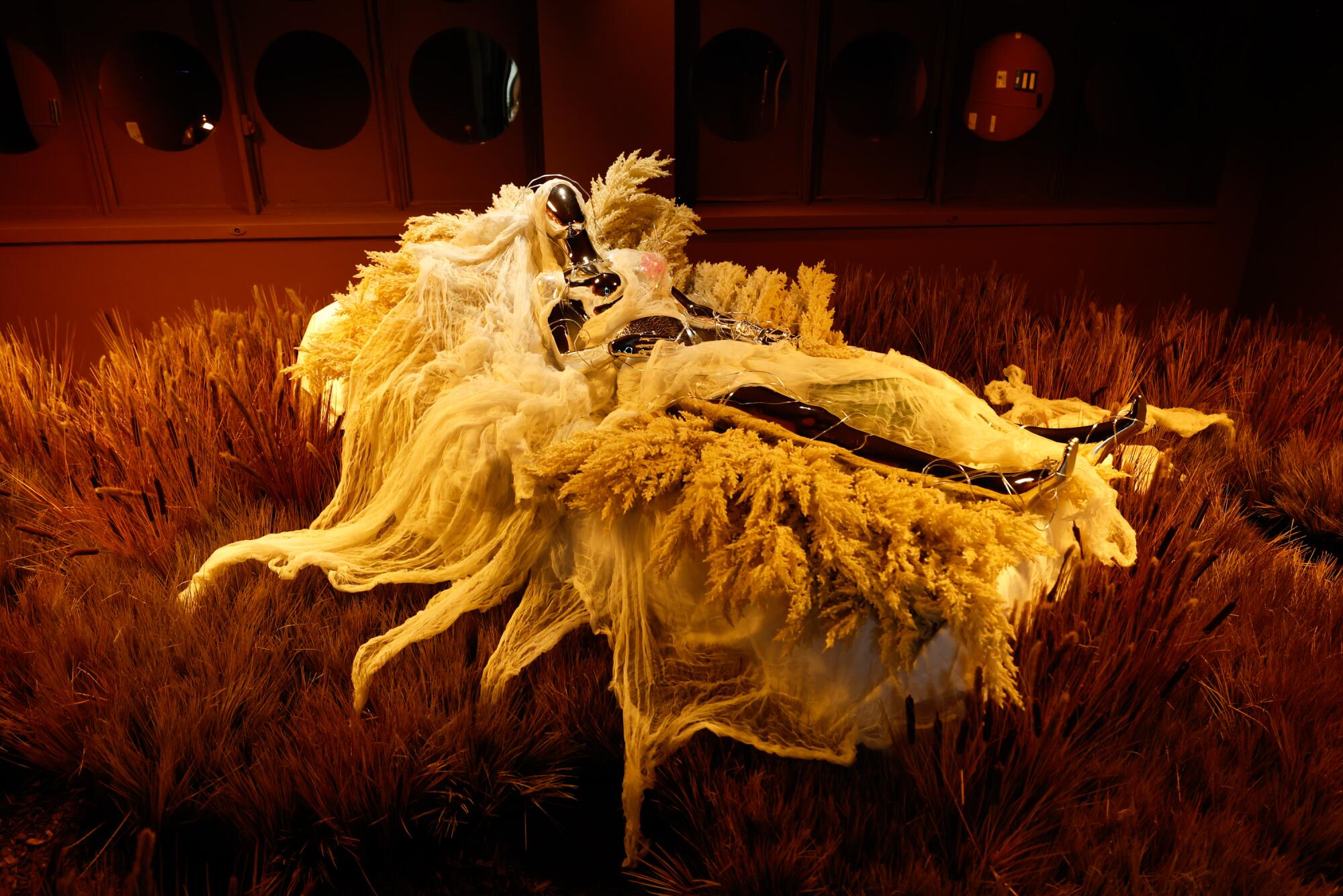 An immersive art installation.