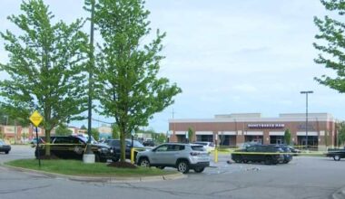 Mother shot during carjacking outside Oakland County strip mall, man arrested after police chase