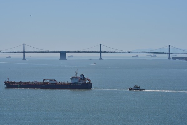 Tankers are visible throughout the San Francisco Bay, Tuesday, May 19, 2026. (AP Photo/Annika Hammerschlag)