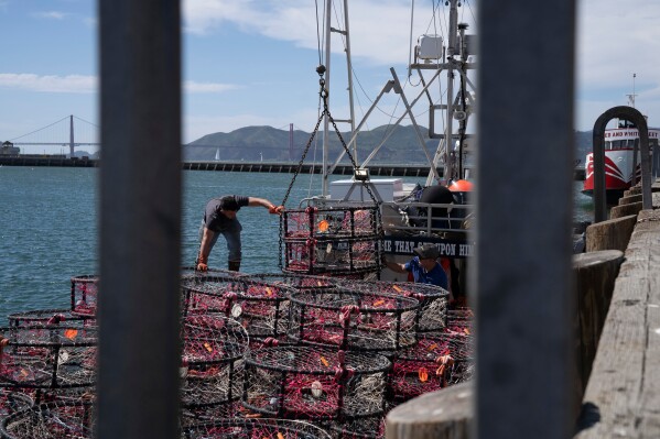 Hunter Nguyen, right, and Jonathan Tin, load crab traps, pop-up gear aimed at preventing whale entanglements, onto the boat Pale Horse at Pier 45 in San Francisco, April 10, 2025. (AP Photo/Emily Steinberger, File)