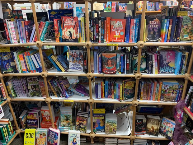 Once Upon a Time Bookstore celebrated its 20th anniversary under the ownership of the Palacios family on April 1, 2023. (Photo by Erik Pedersen)