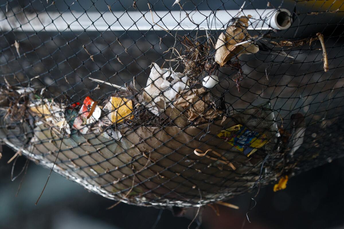 Trash and pieces of eggs dropped from netting underneath the Santa Monica Pier.