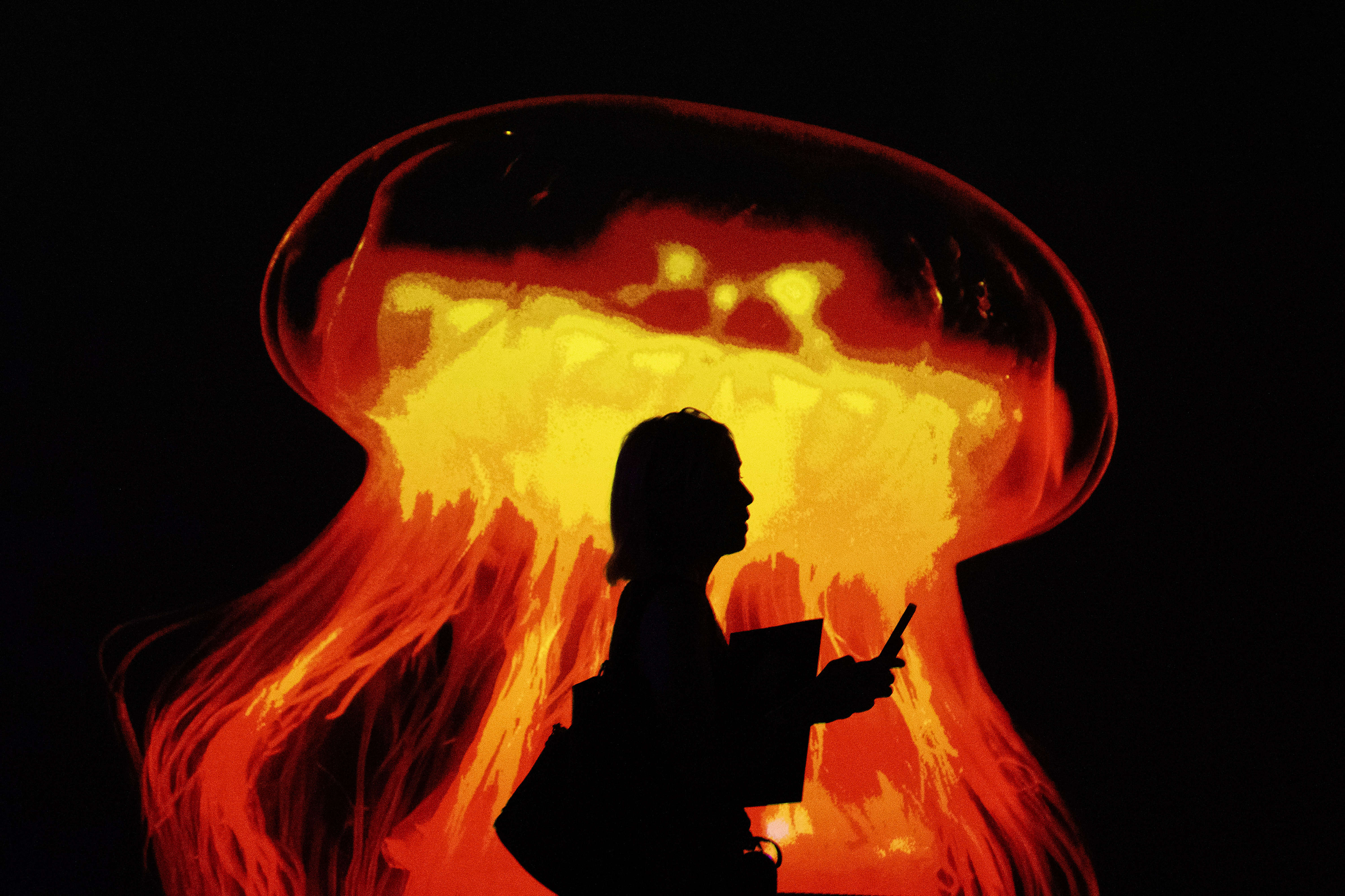 The Jelly Dreamscapes exhibit at the Aquarium of the Pacific...