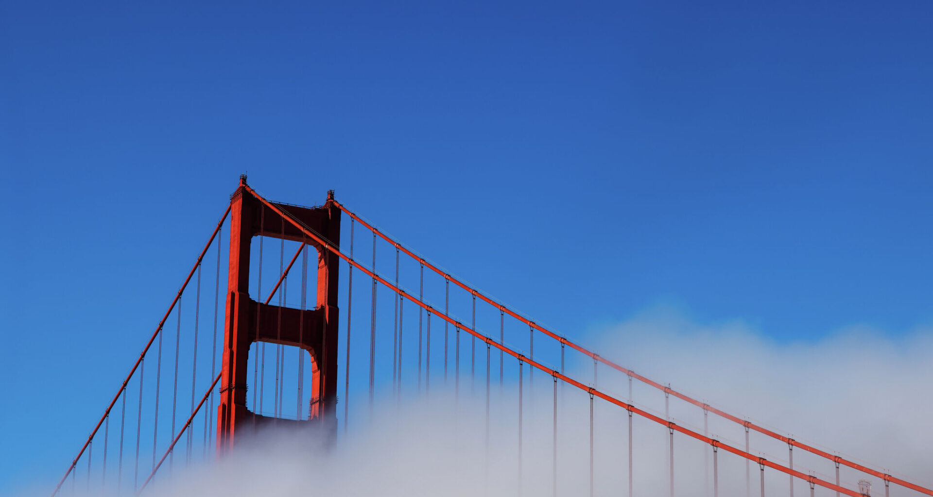 Dueling narratives argued at start of Golden Gate Bridge protest trial