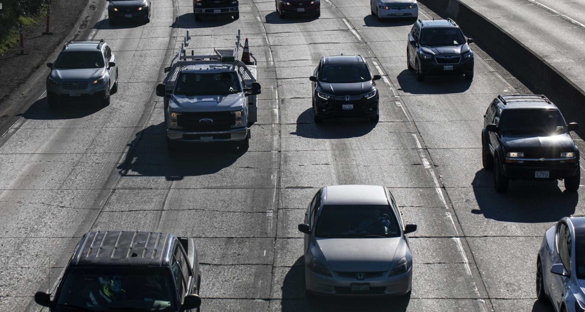Rescuers search for kitten reportedly thrown from car on Highway 101