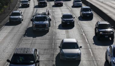 Rescuers search for kitten reportedly thrown from car on Highway 101