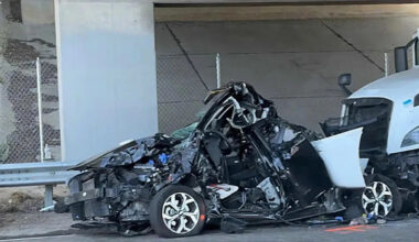 Illegal immigrant truck driver from India arrested in deadly California hit-and-run after Biden release