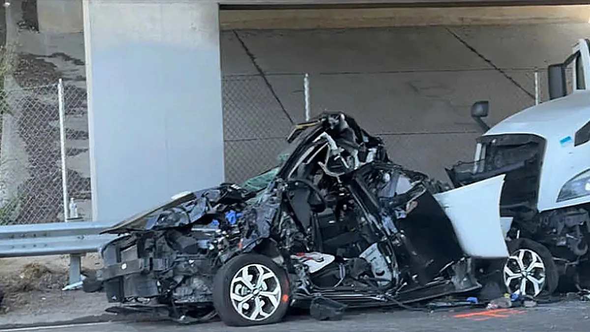 Illegal immigrant truck driver from India arrested in deadly California hit-and-run after Biden release