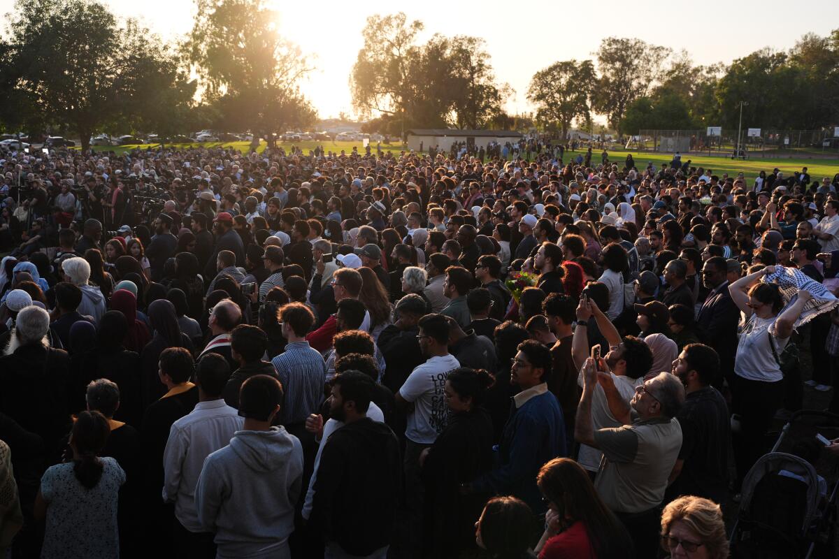 A large crowd of people gather outdoors, with trees in the distance