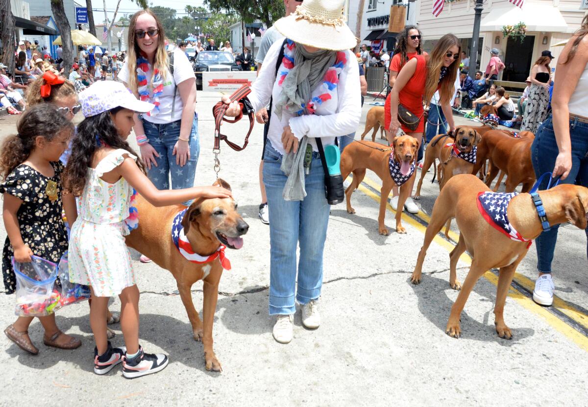 Little girls couldn't resist first-time entries Rhodesian ridgebacks visiting the Balboa Island Parade in 2025.