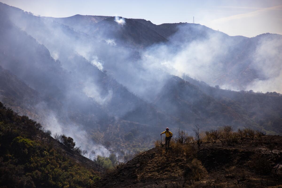A firefighter clears brush during the Sandy fire