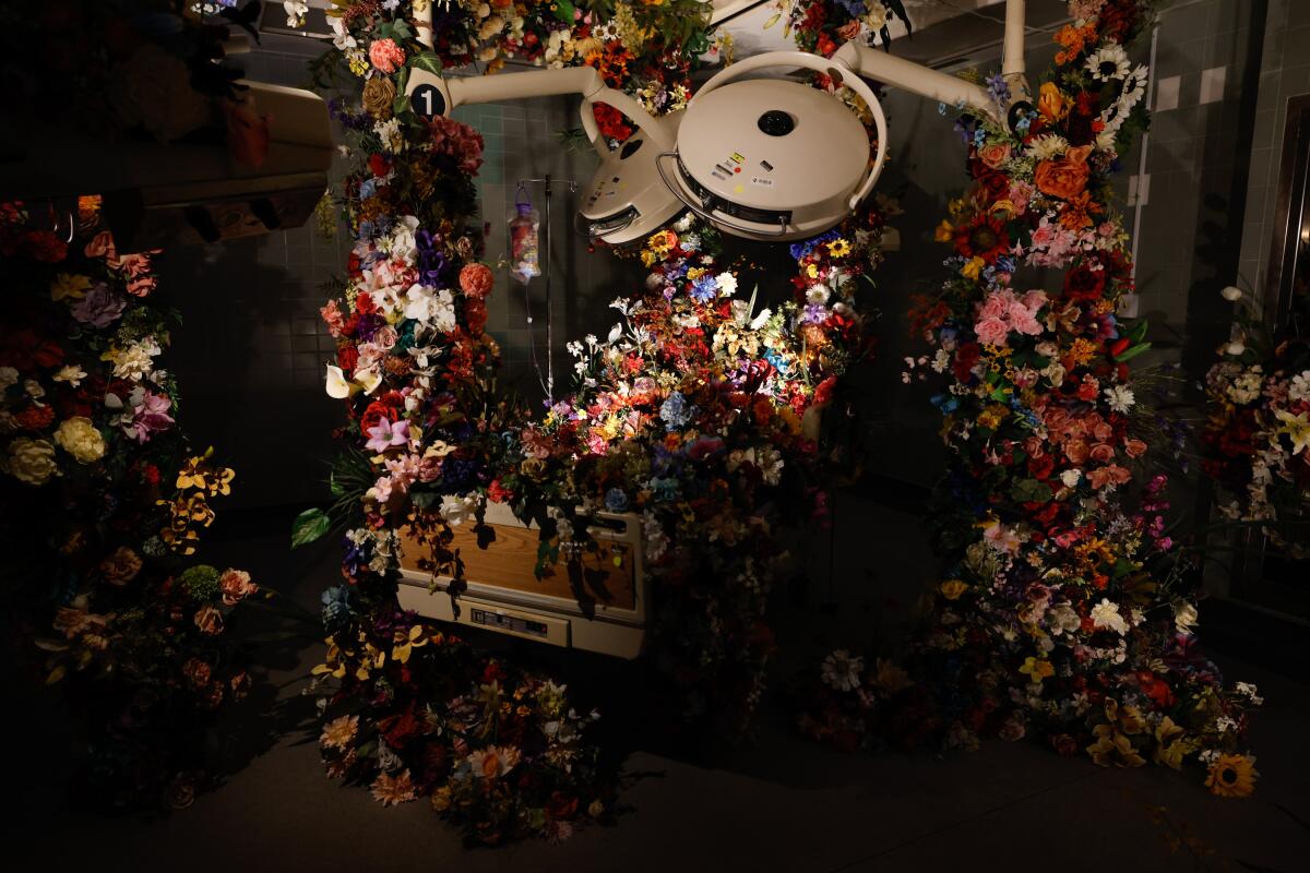 An immersive art installation.