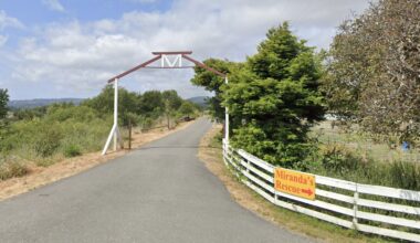 Northern California rescue owner asks public to ‘hold fire’