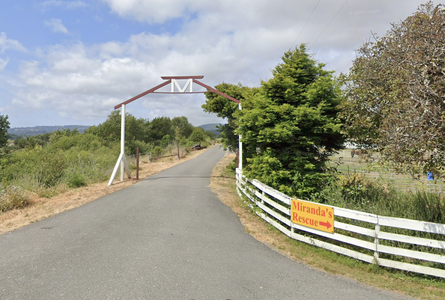 Northern California rescue owner asks public to ‘hold fire’