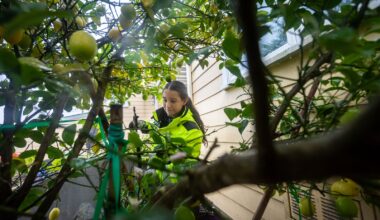 Berkeley Hills ‘Zone 0’ fire safety inspections are coming soon