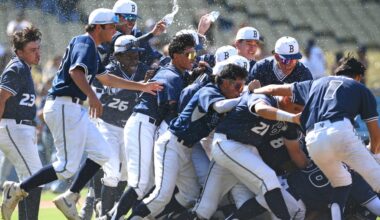 Masen Ruiz lifts Birmingham over El Camino Real in City Open final with bases-clearing triple – Daily News