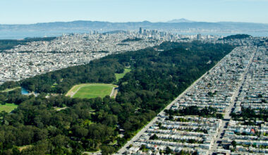 Rare photos captured of elusive animal found only in Golden Gate Park