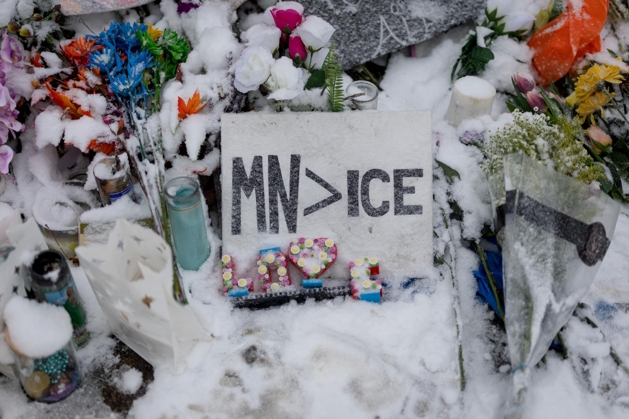 A sign amid flowers says "MN is greater than ICE."