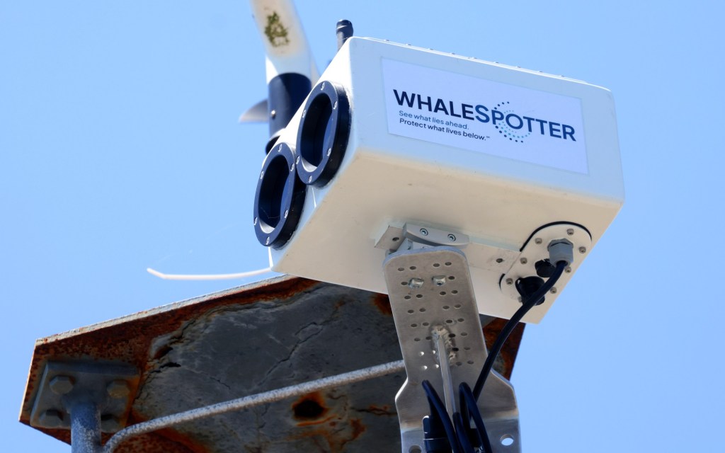 AI cameras scan San Francisco Bay to help protect whales from ship strikes – Marin Independent Journal
