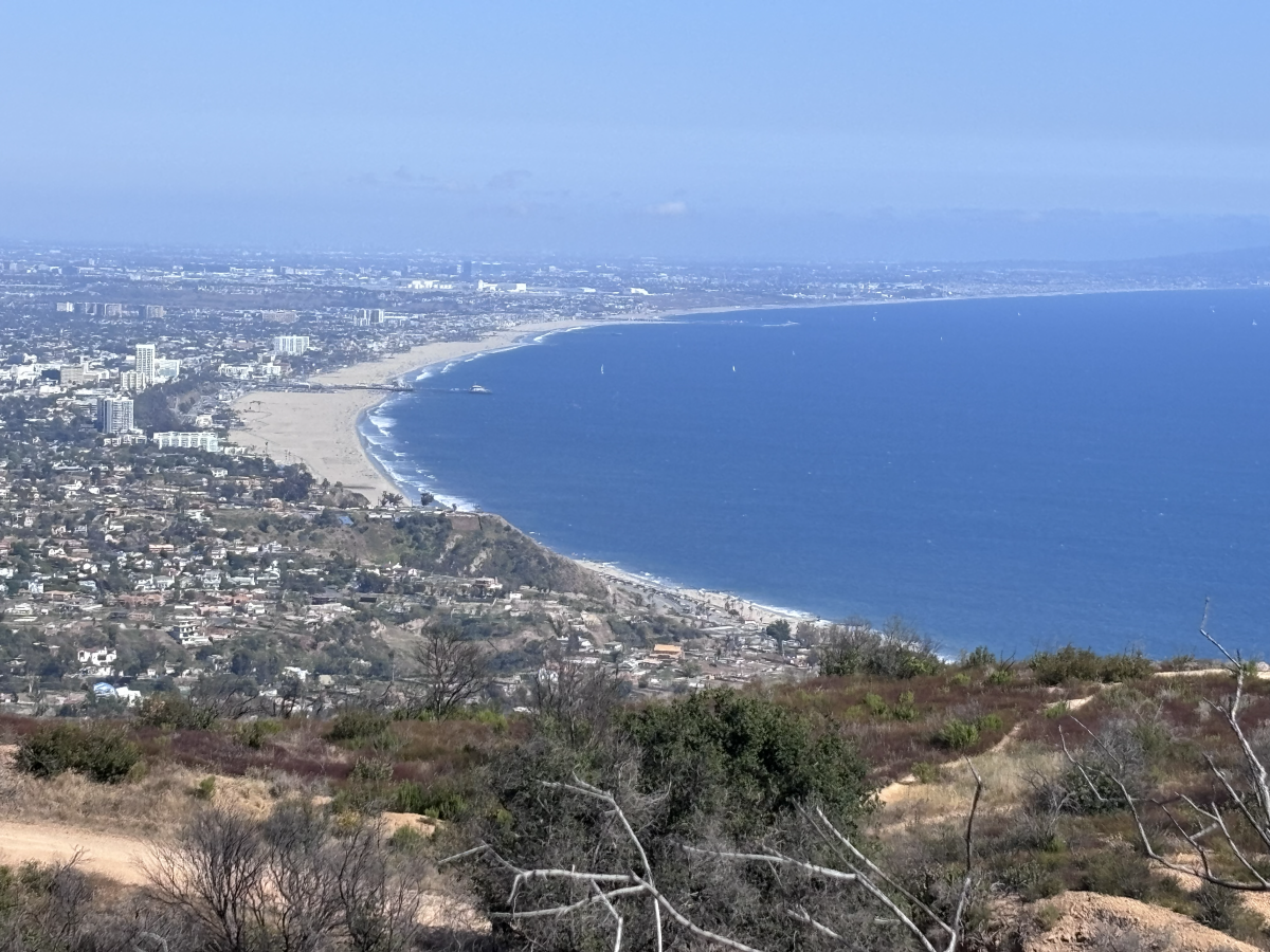 A curving coastline with varying lengths of sand with thousands of homes and businesses to the east
