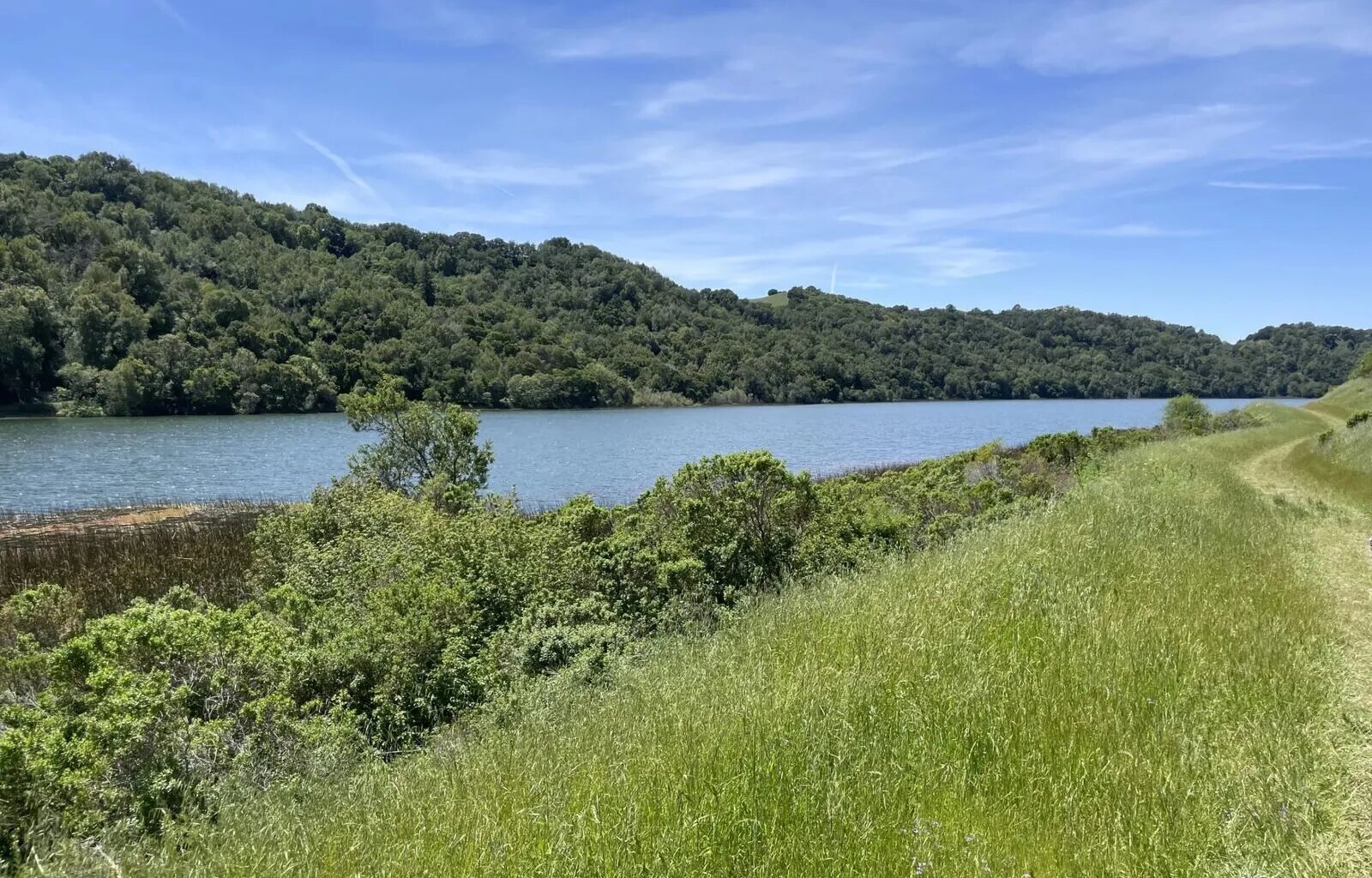 How is Berkeley's water supply holding up?