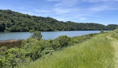How is Berkeley's water supply holding up?