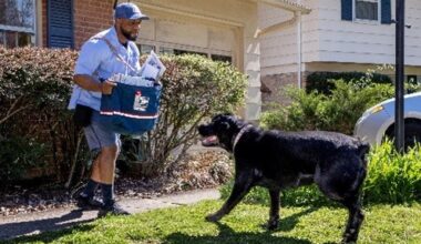 California ranks first in dog attacks on mail carriers