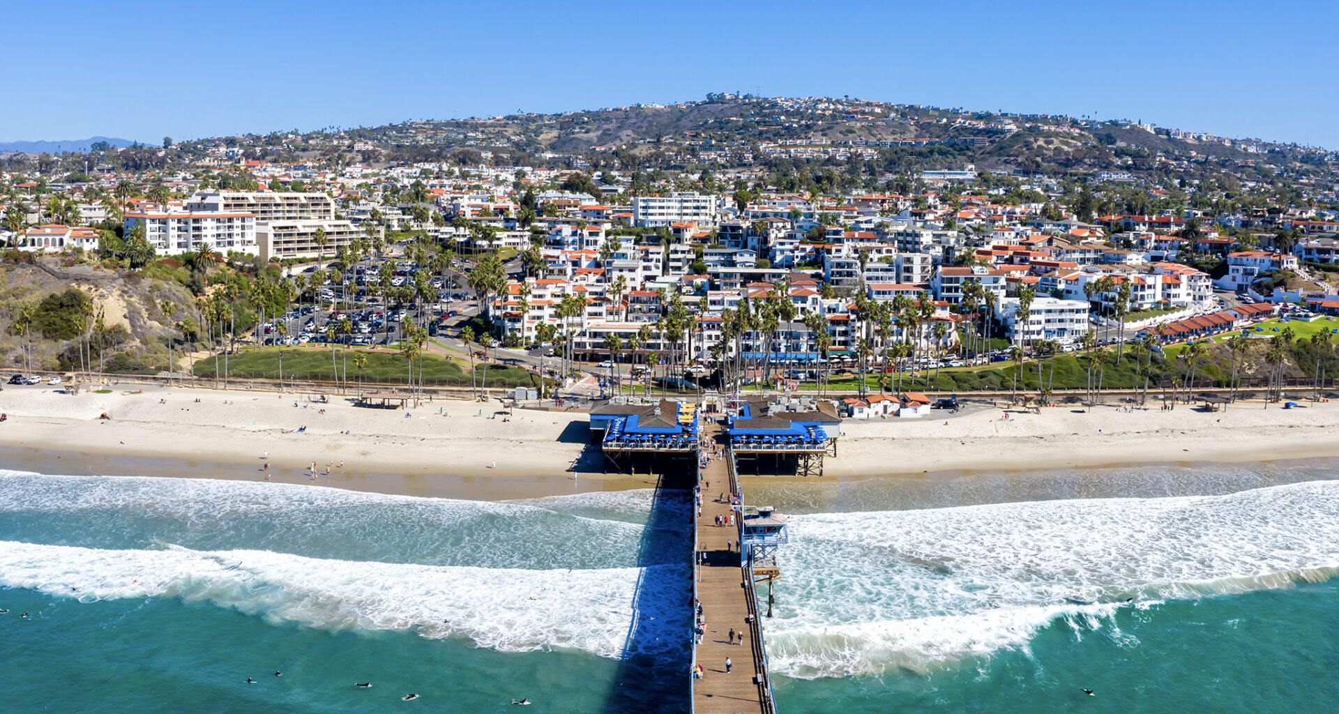 Super rare tropical bird swoops over California. Experts fear a trend.