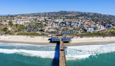 Super rare tropical bird swoops over California. Experts fear a trend.