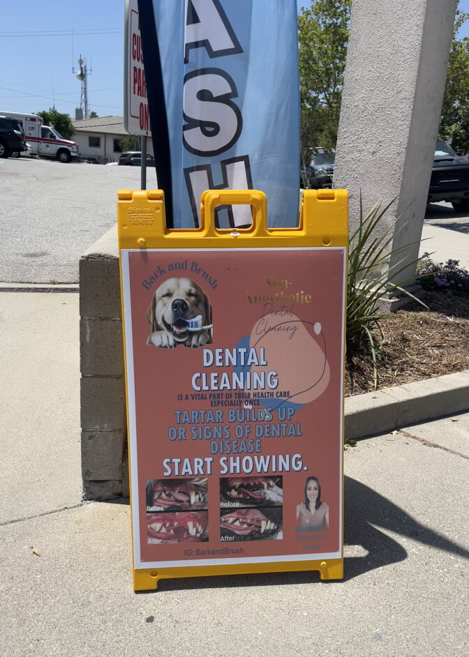 A sandwich board advertising dental cleaning for dogs sits on a sidewalk. 