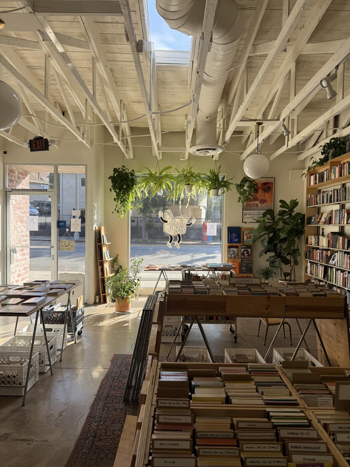A Good Used Book's beautiful interior