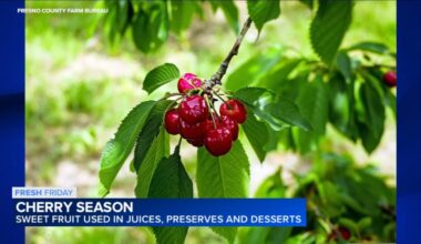 Fresh Friday: California cherry season arrives at local fruit stands