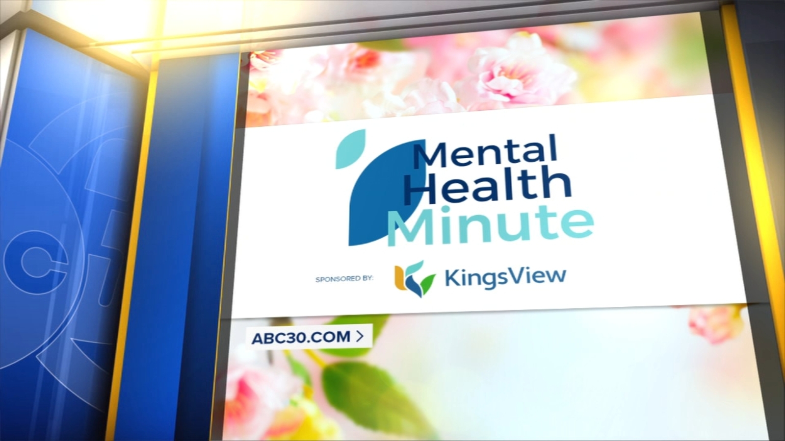 Mental Health Minute: Difference between regular stress and chronic stress