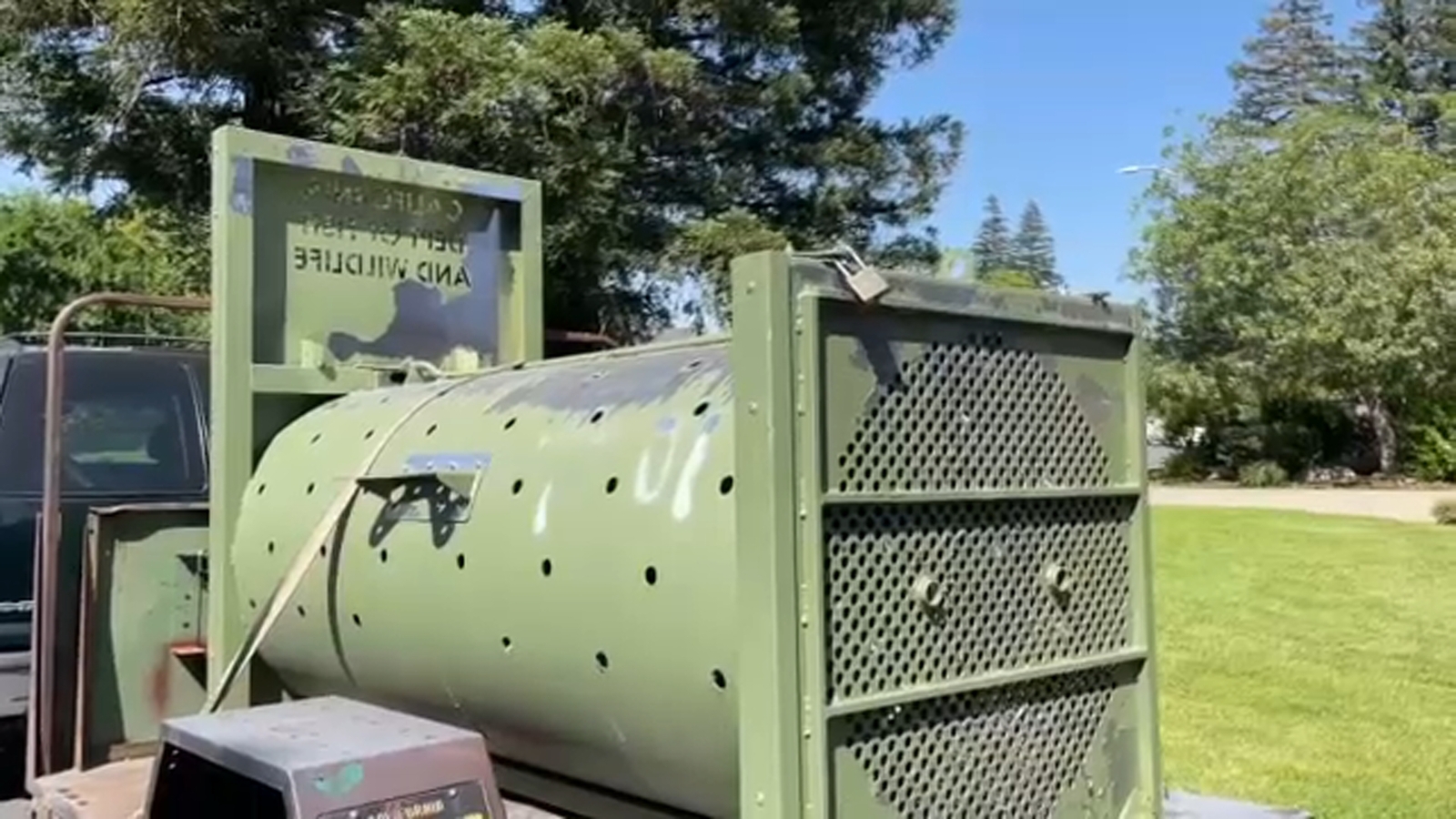 Bear spotting in northwest Fresno neighborhood confirmed by officials