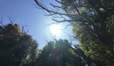 High heat prompts warnings against heat-related injuries